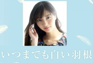 shiroihane